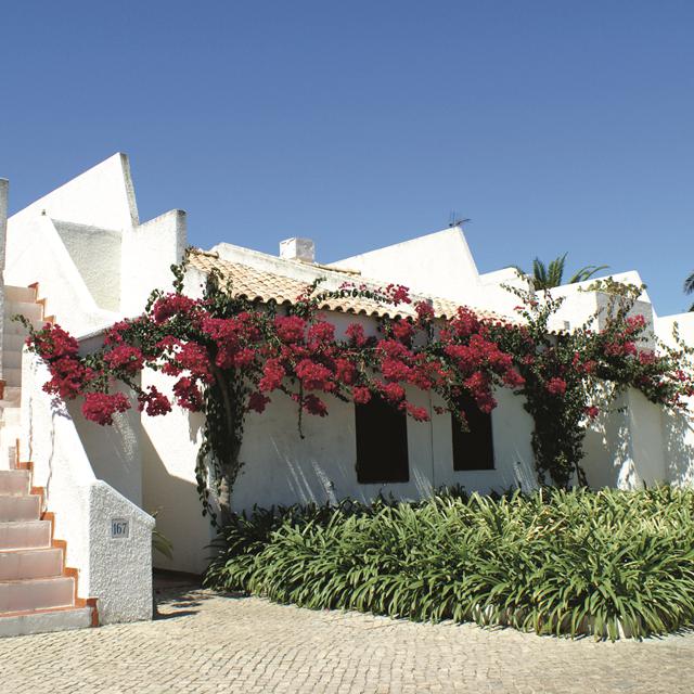 appartementen-pedras-da-rainha