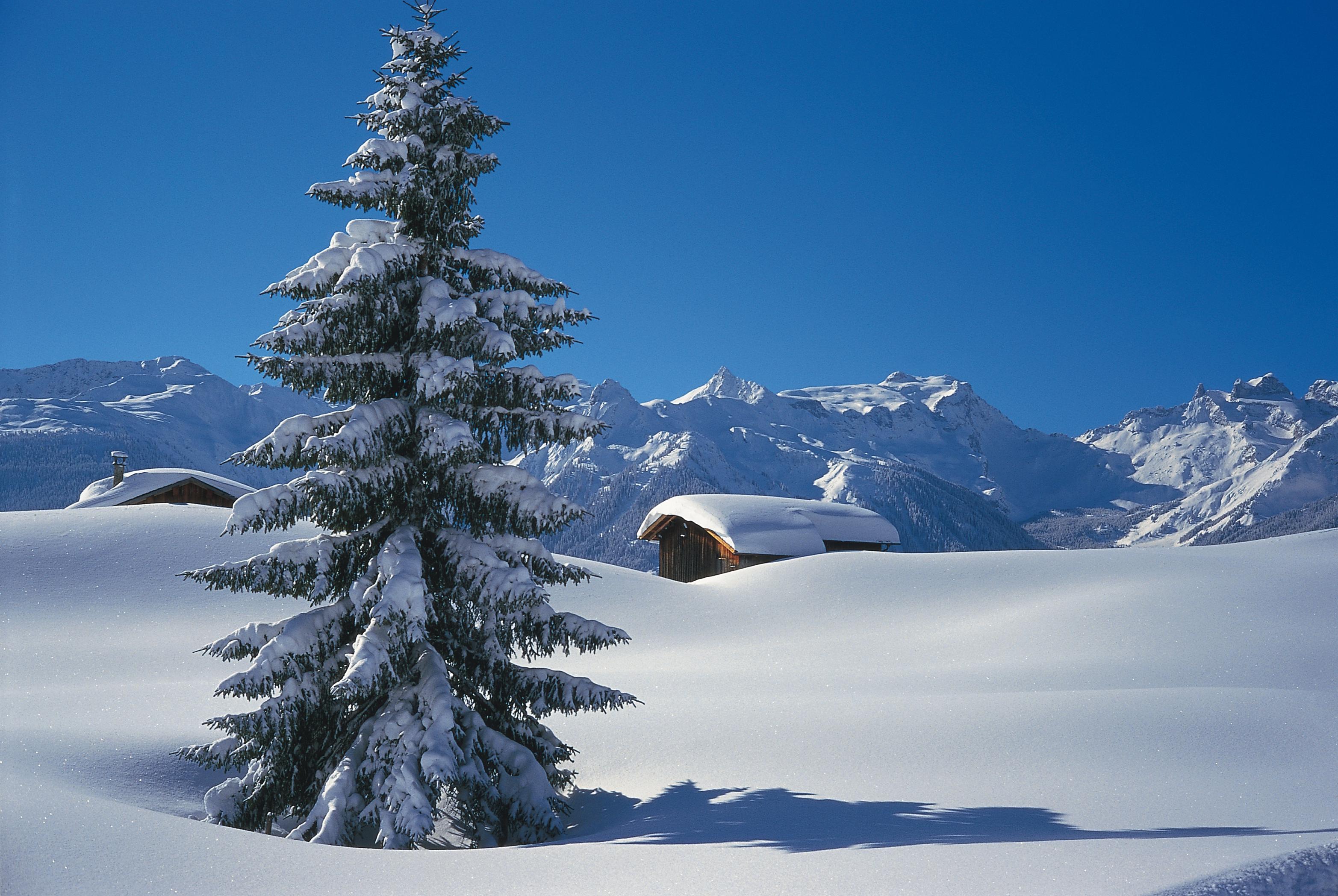 Mallnitz Molltaler Gletsjer