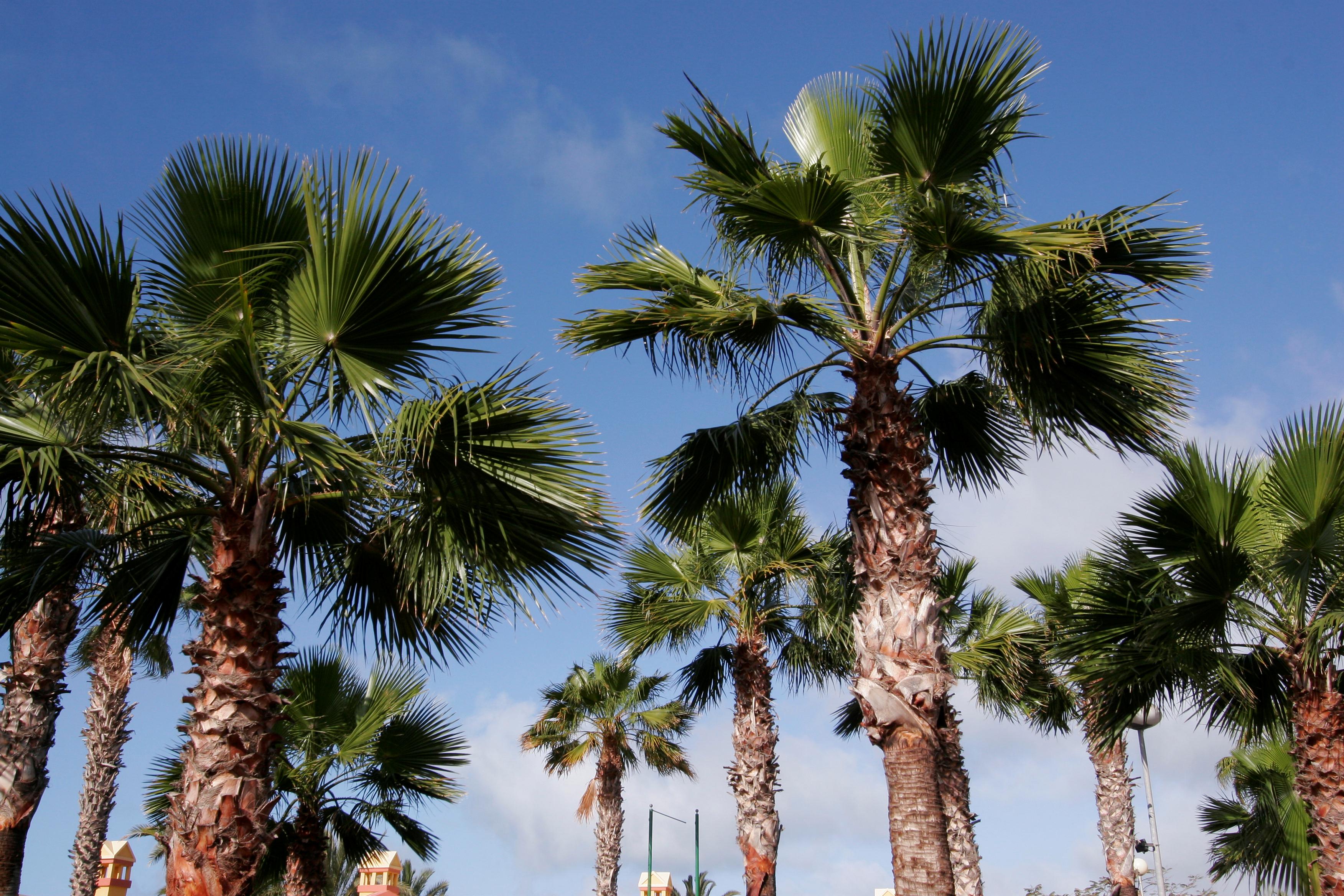 Bahia Feliz Foto: 4 van 4