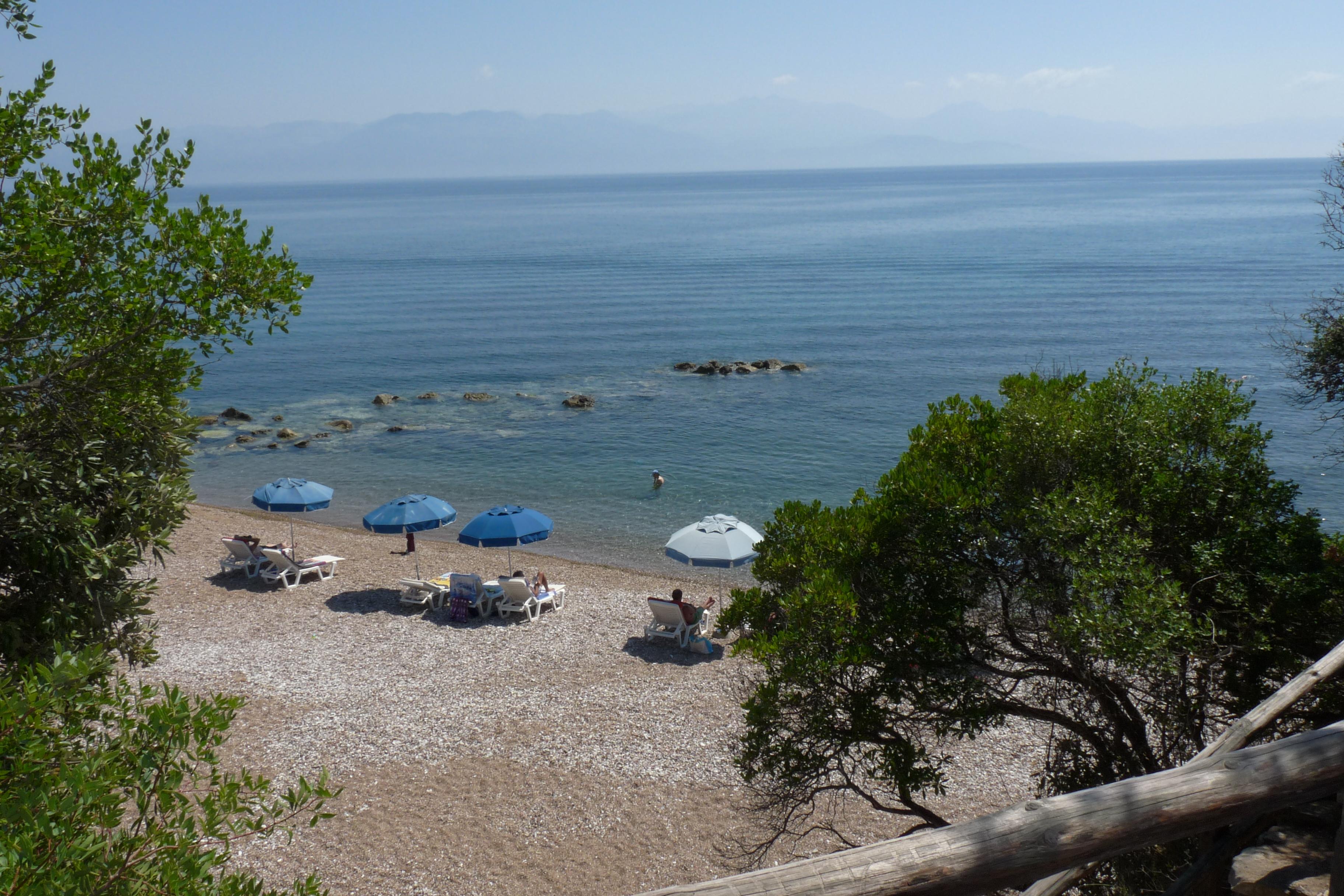 Petalidi Foto: 3 van 3