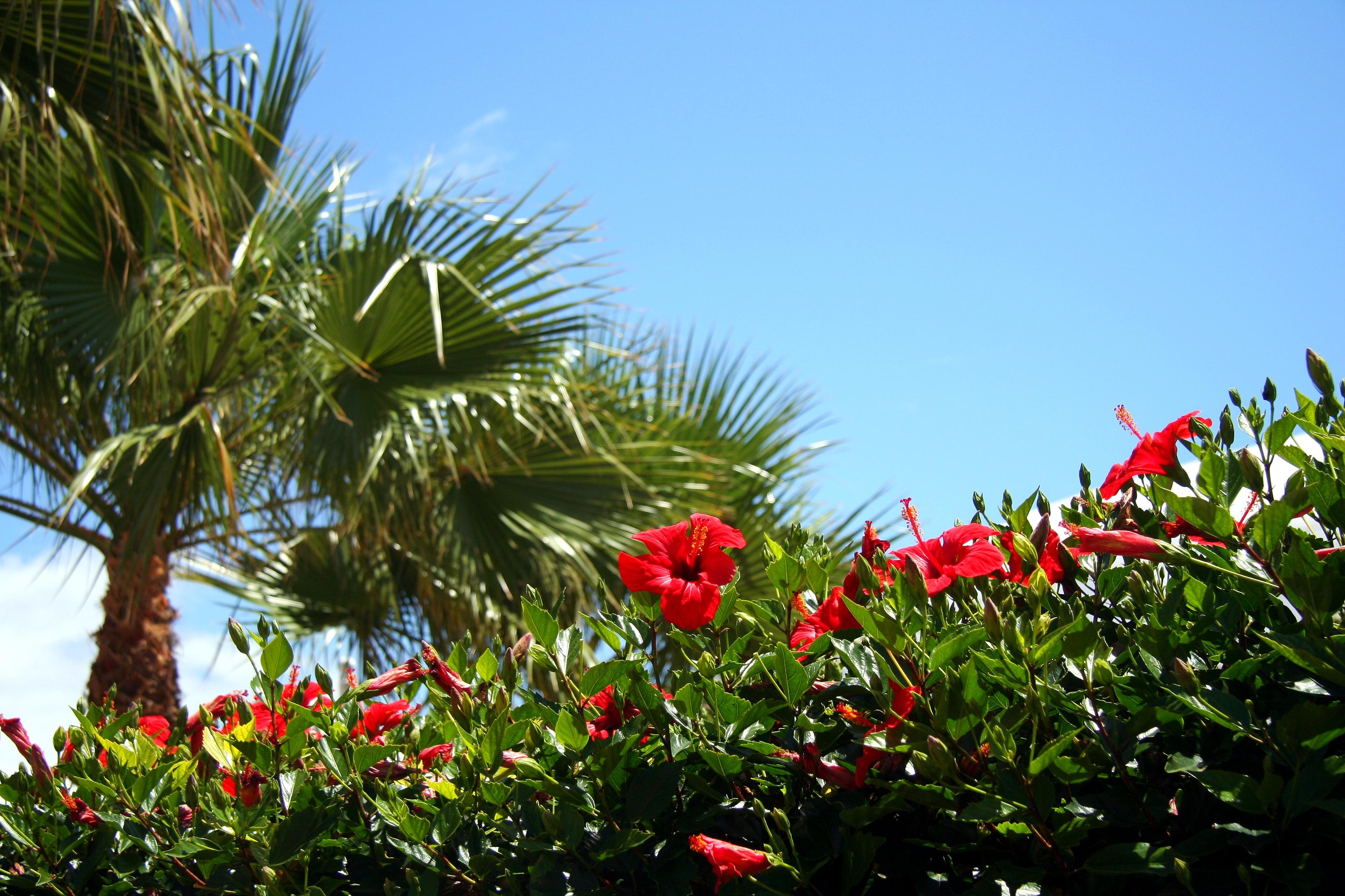 Costa Teguise Foto: 2 van 9