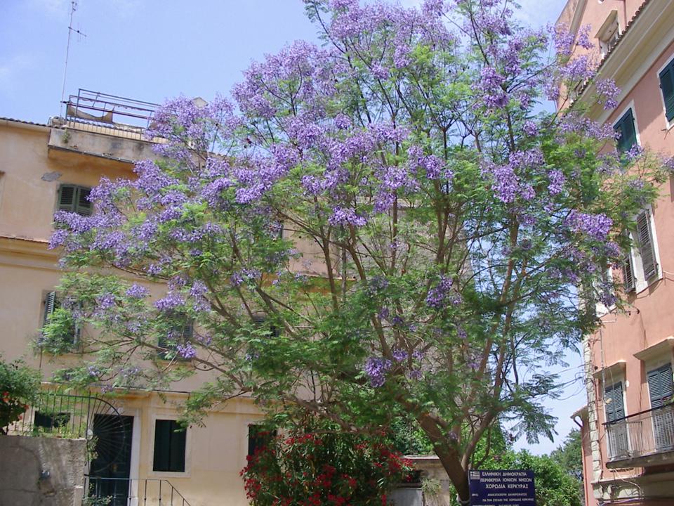 Kontokali Foto: 5 van 5