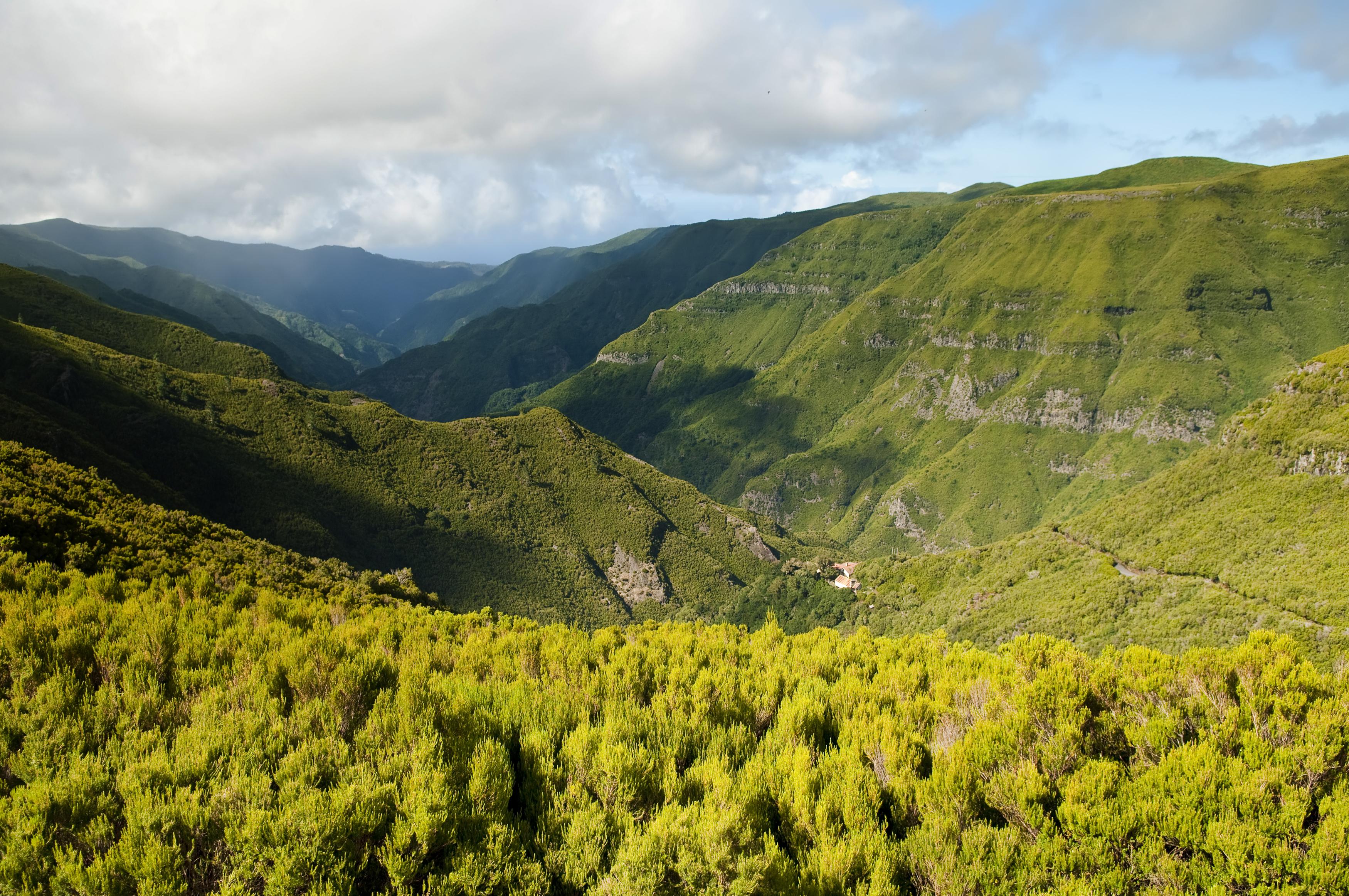 Santo António da Serra Foto: 4 van 4