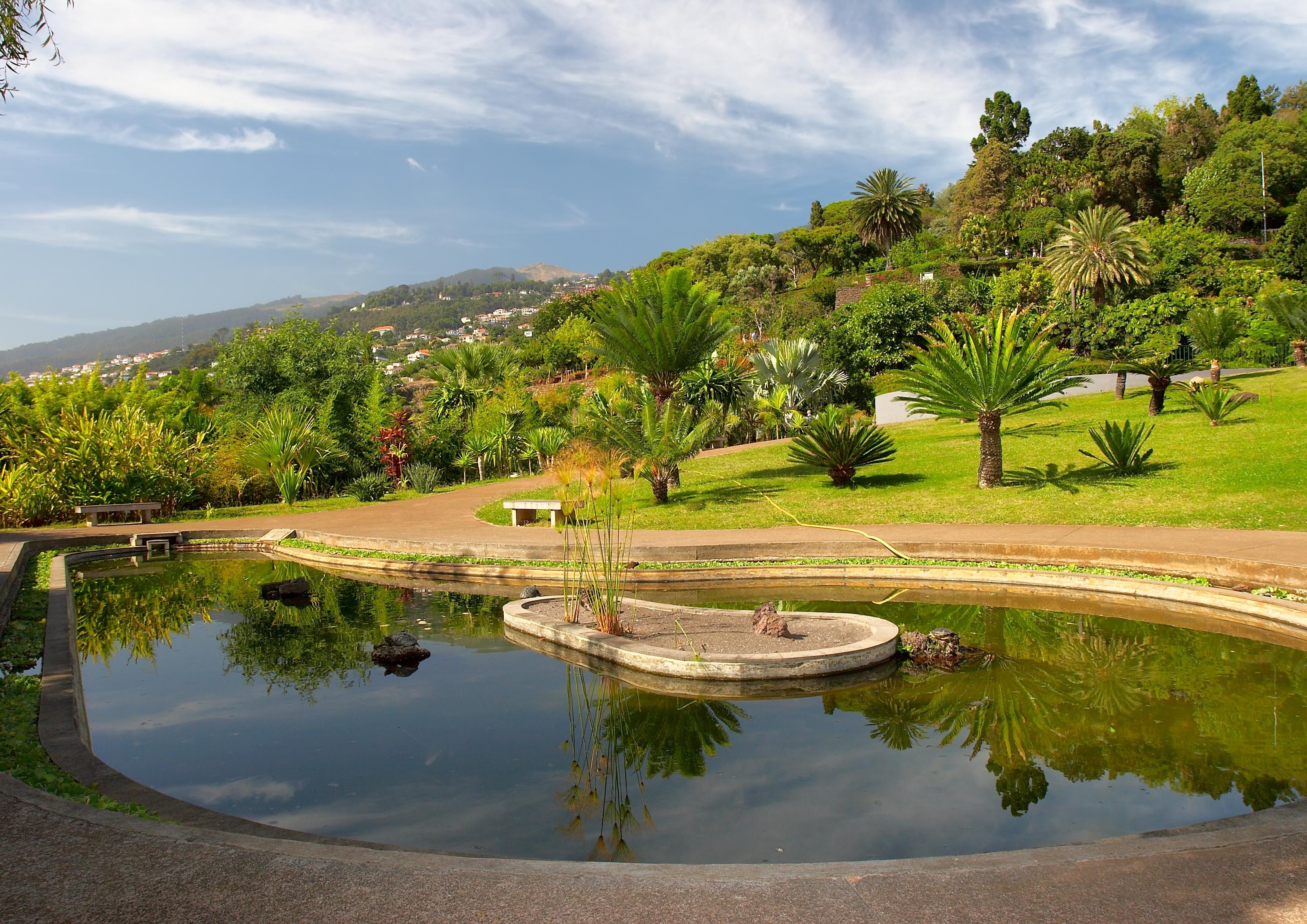 Funchal Foto: 6 van 6