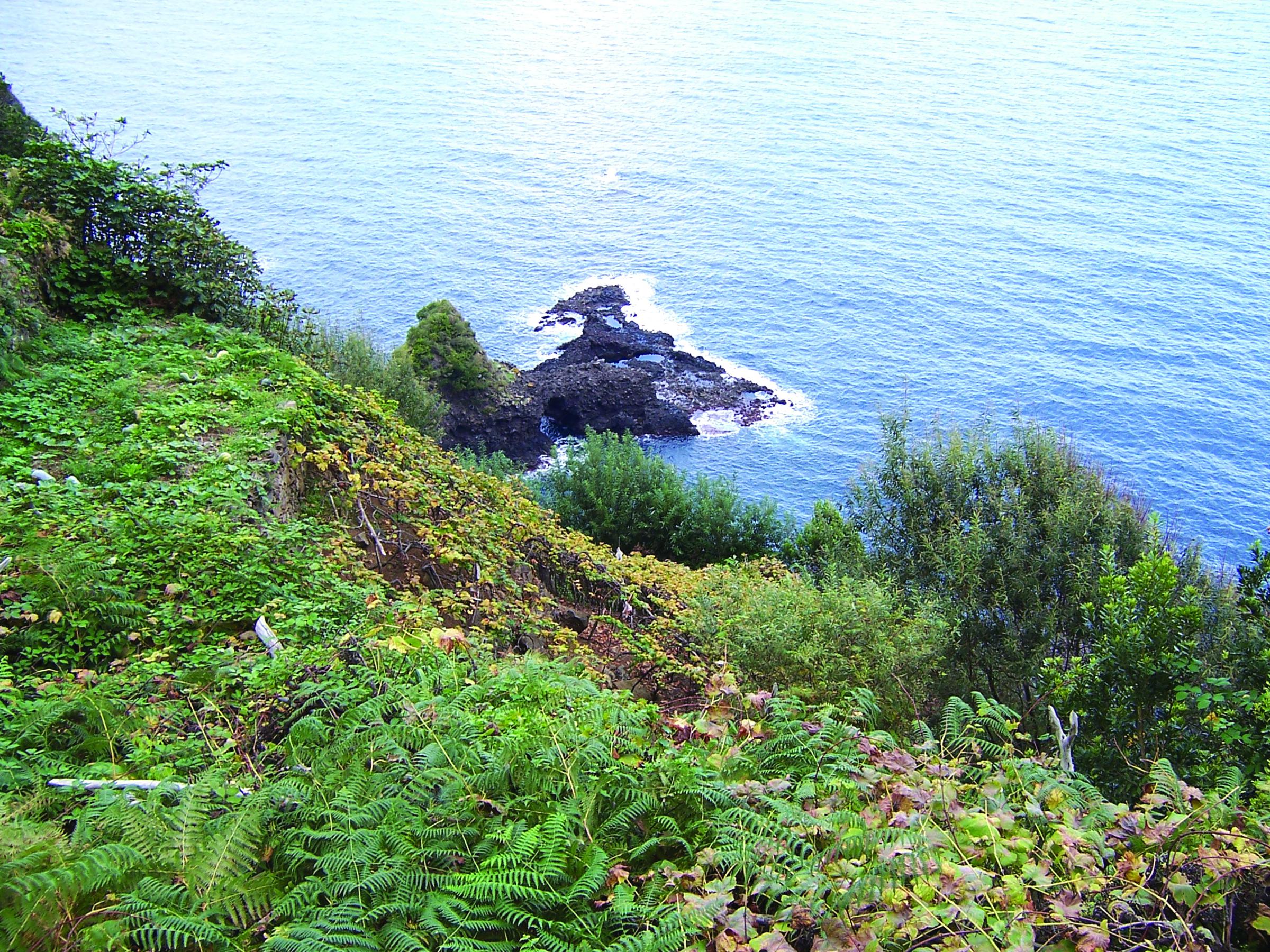 Funchal Foto: 4 van 6