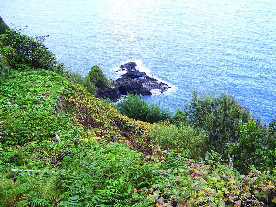 Funchal Foto: 4 van 6