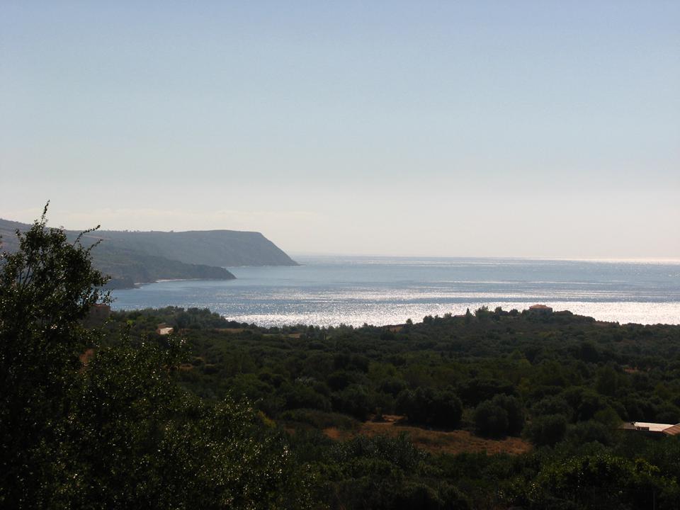 Karavados Foto: 3 van 4