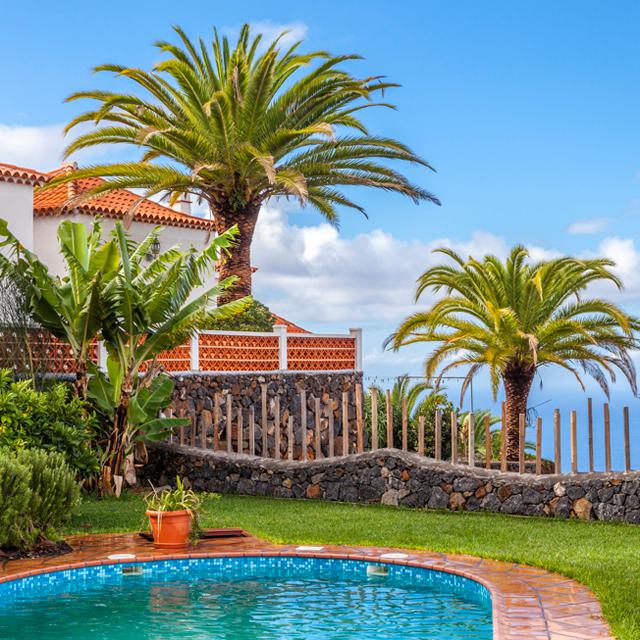 villa-las-palmeras