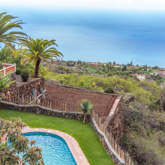 villa-las-palmeras