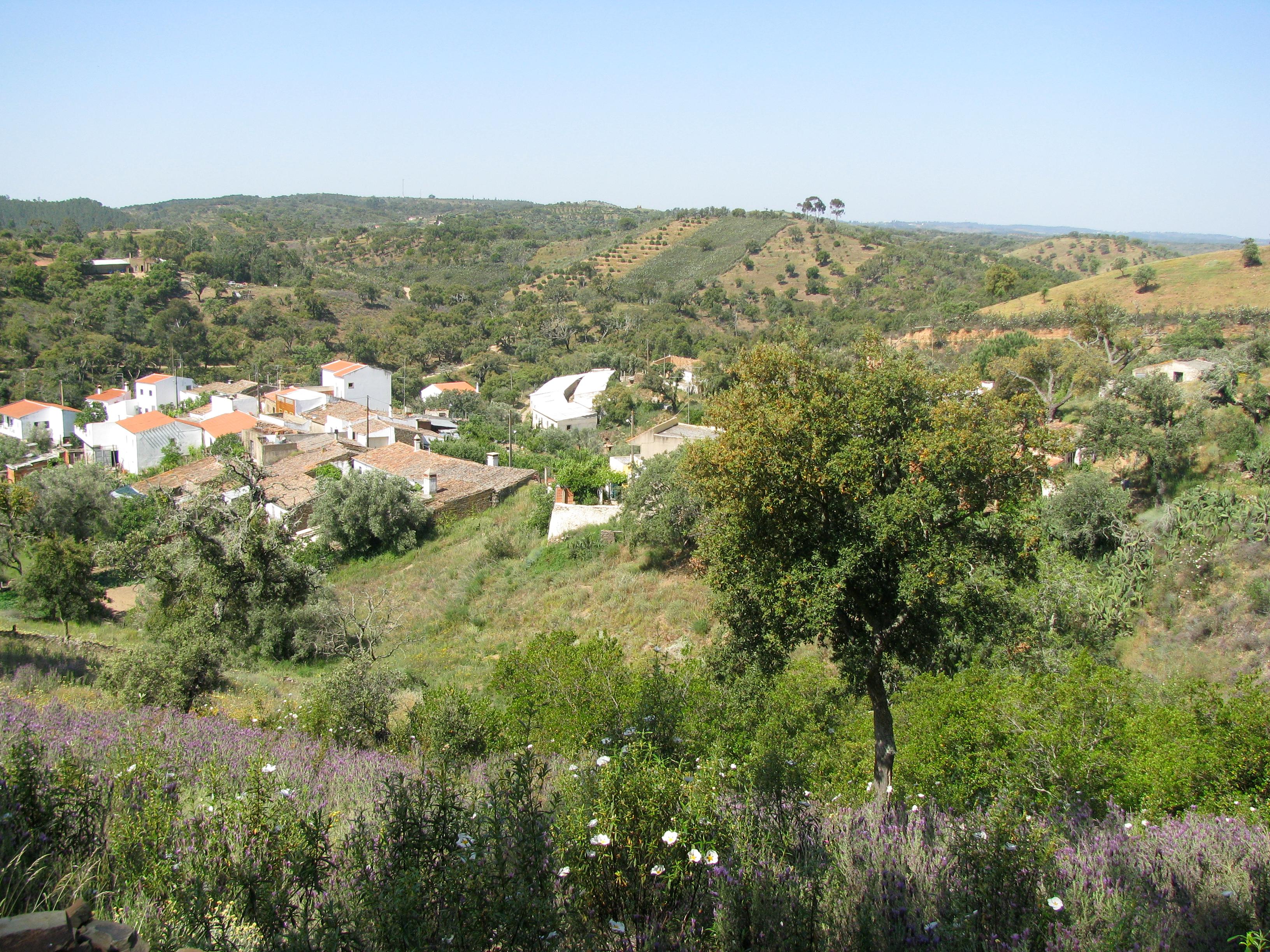 Quinta do Lago Foto: 2 van 3