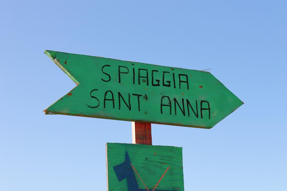 Tanaunella Foto: 3 van 6