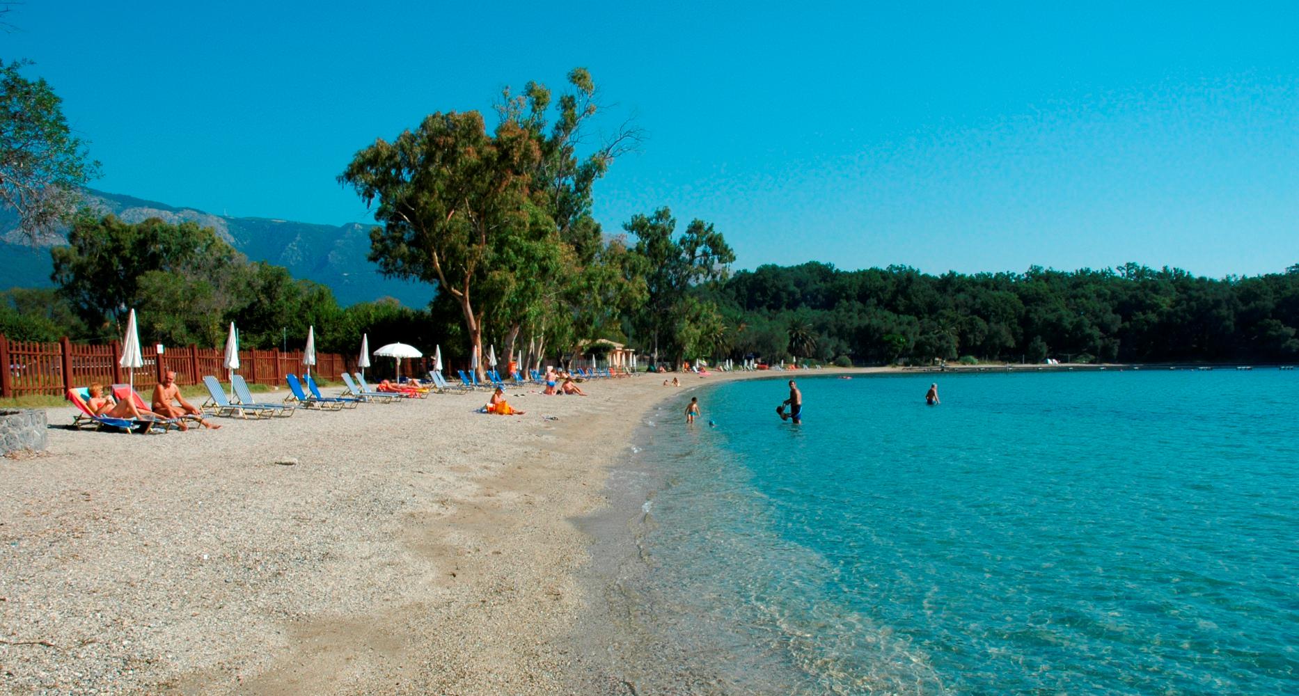 Dassia Foto: 3 van 8