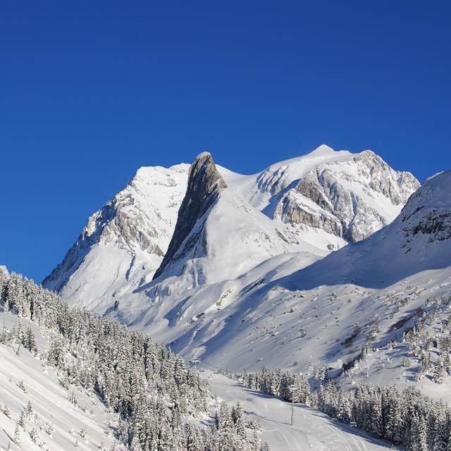 Résidence Les Jardins de la Vanoise **** in Pralognan-la-Vanoise - foto 5