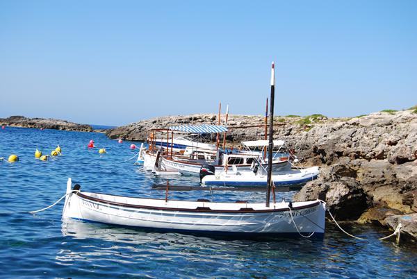 Foto van Son Bou