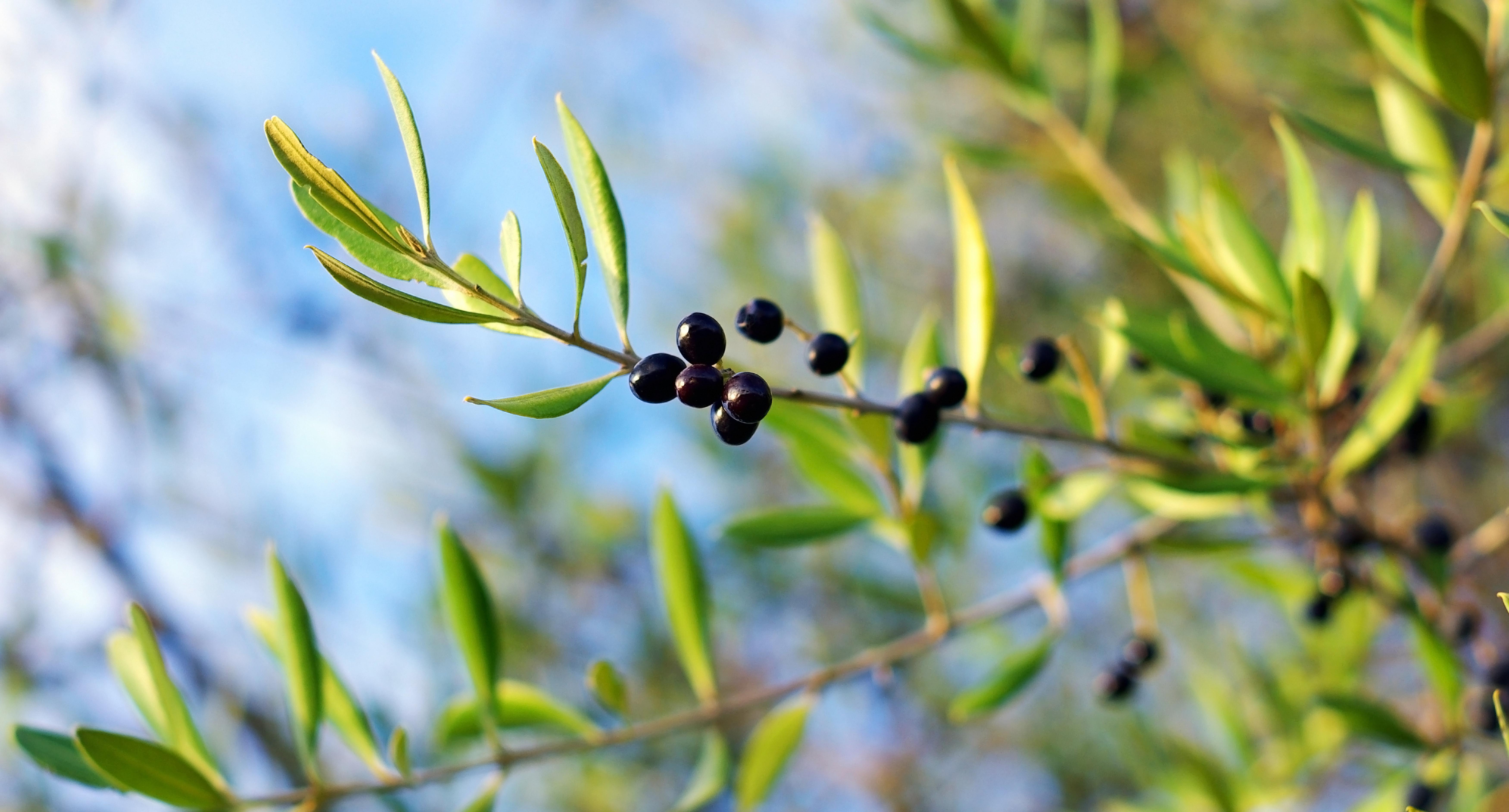 Moraitika Foto: 6 van 6