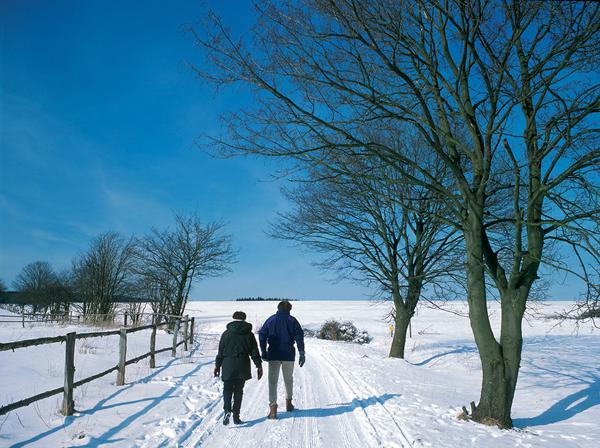 Foto van Willingen