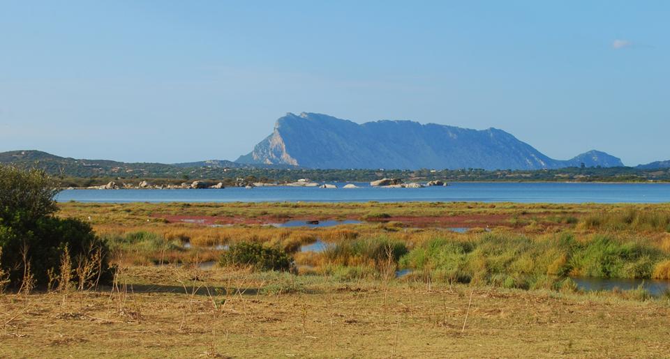San Teodoro Foto: 7 van 12
