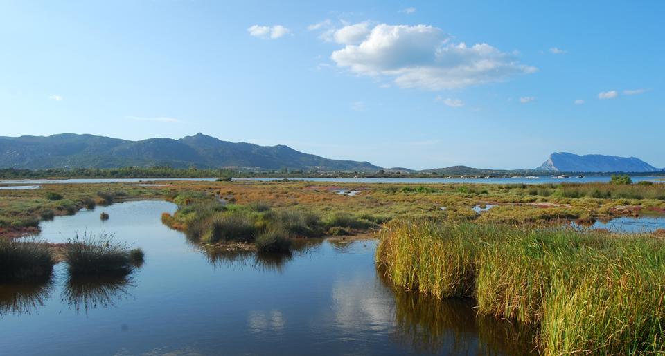 San Teodoro Foto: 4 van 12