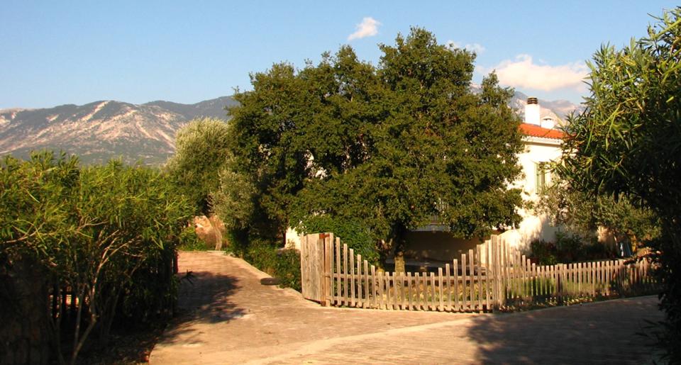 Keramies Foto: 2 van 5