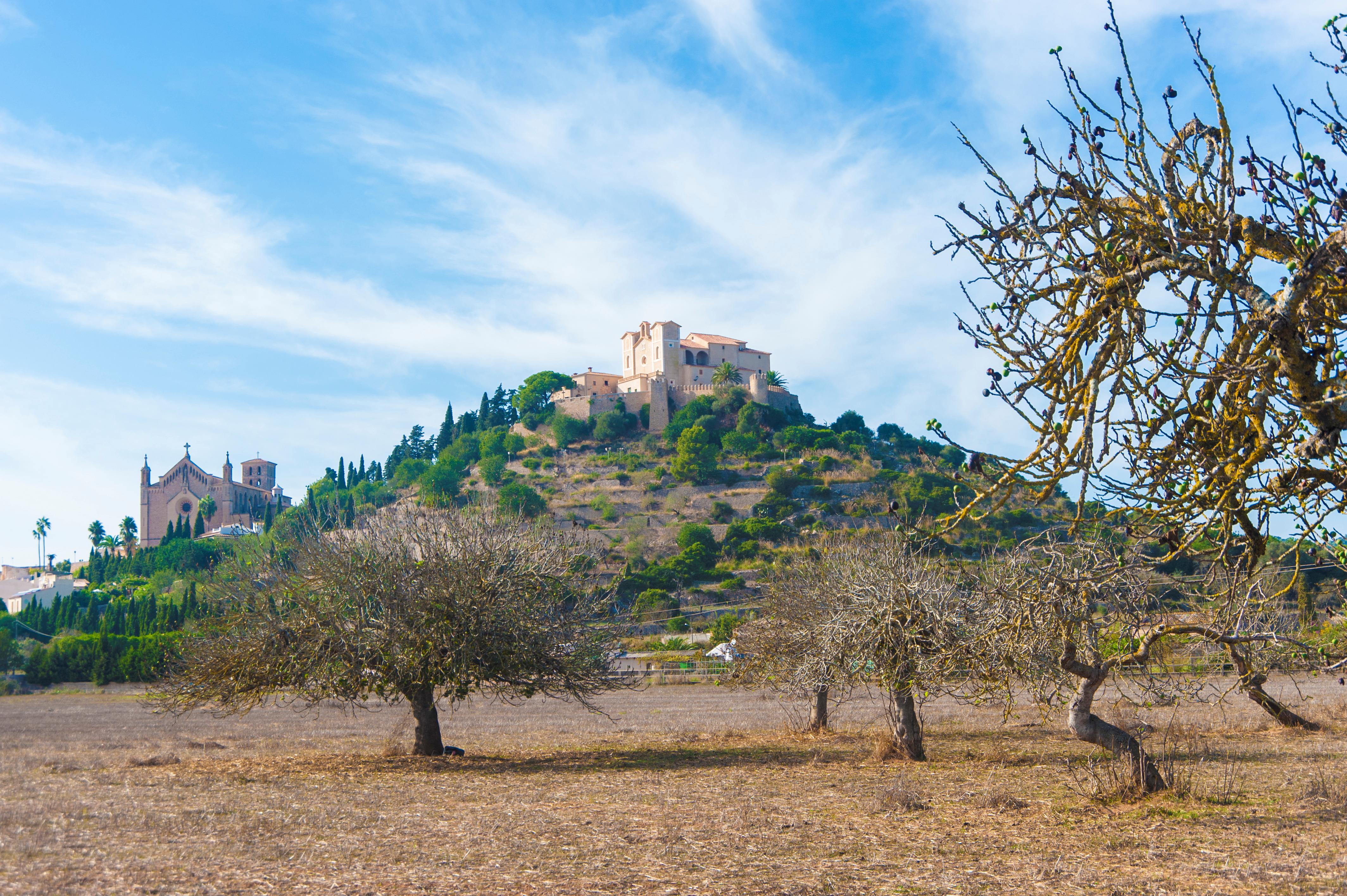 Alcudia Foto: 6 van 12