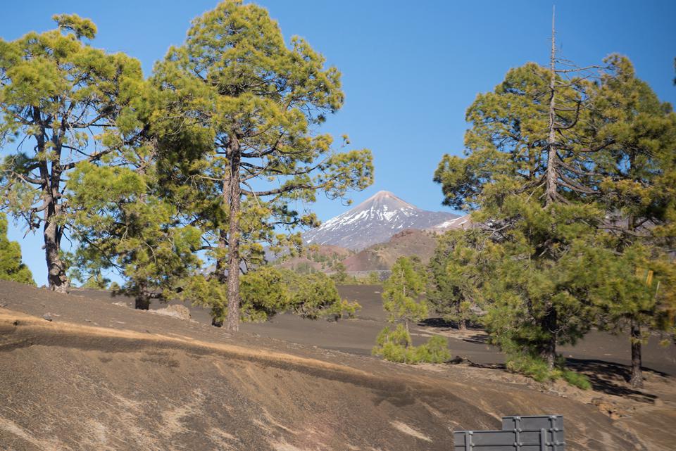Tenerife Foto: 32 van 37