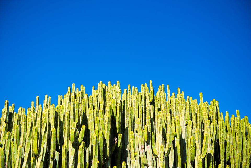 Tenerife Foto: 30 van 37