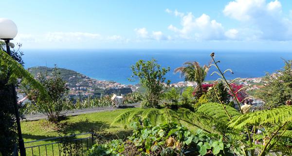 Foto van Estreito de Camara de Lobos