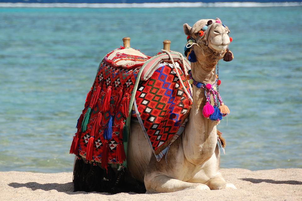 Marsa Alam Foto: 2 van 14