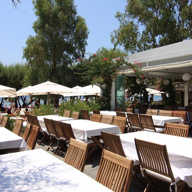 hotel-okaliptus