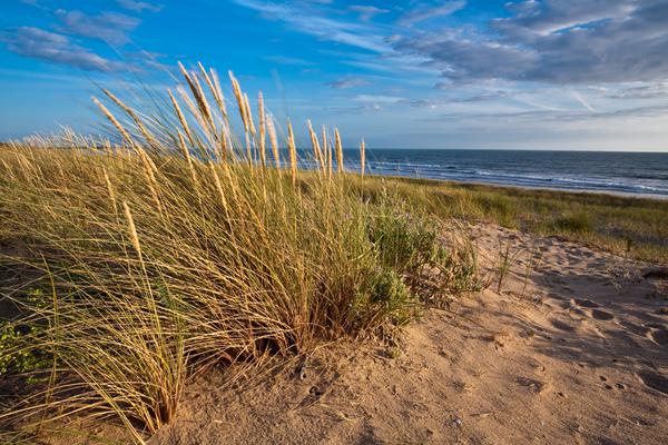 Foto van Longeville sur Mer