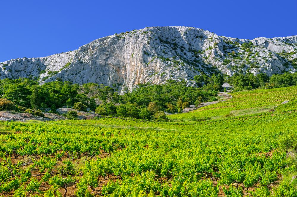 Dalmatië Foto: 7 van 13