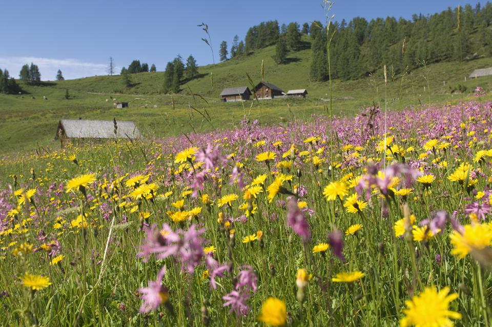 Ramsau Foto: 1 van 1