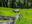 Itter