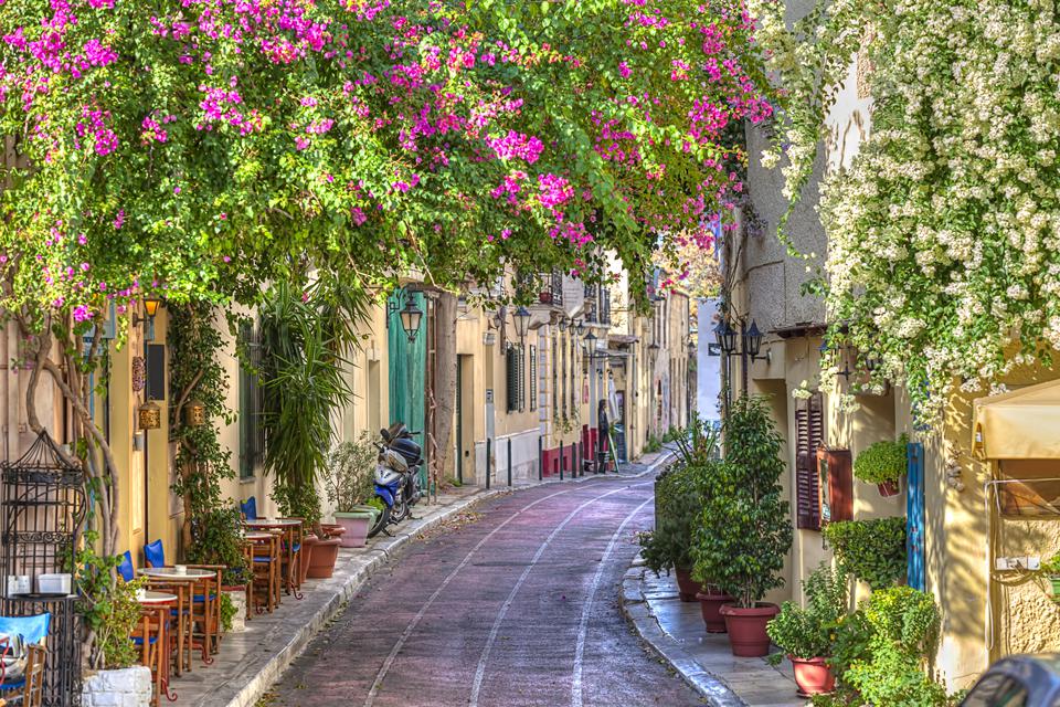 Athene Foto: 5 van 6
