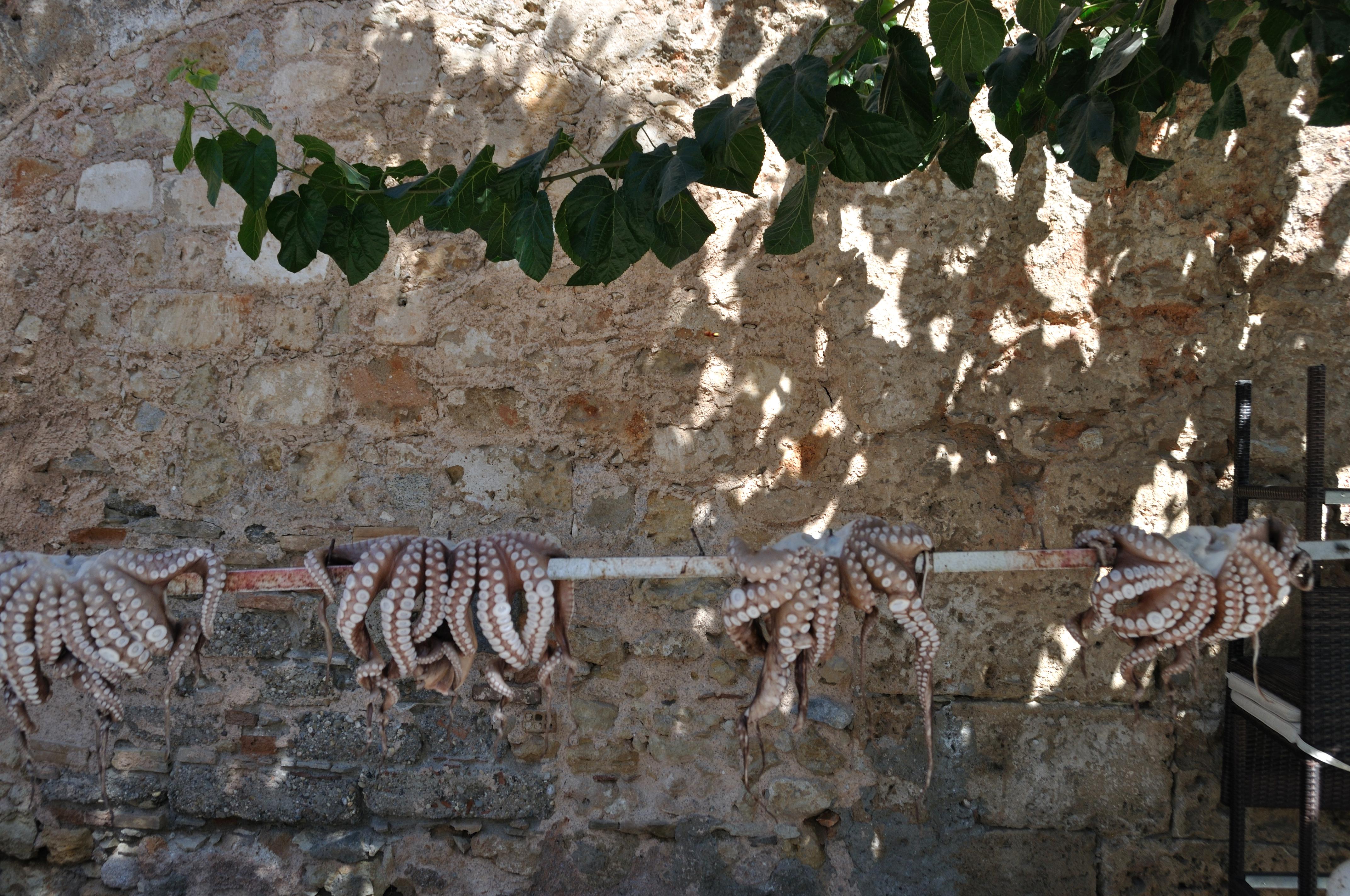 Chania Foto: 9 van 15