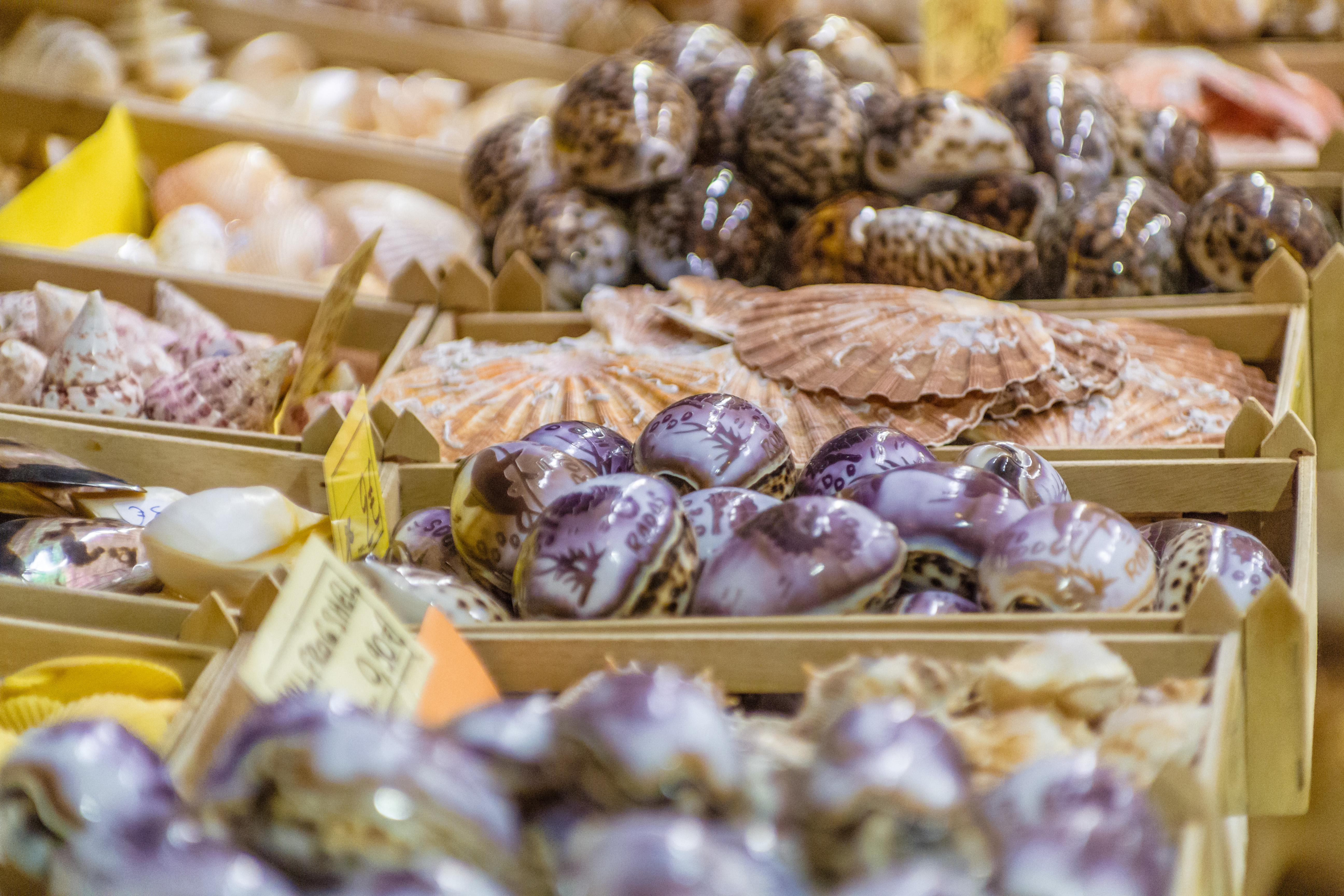 Ialyssos Foto: 6 van 12