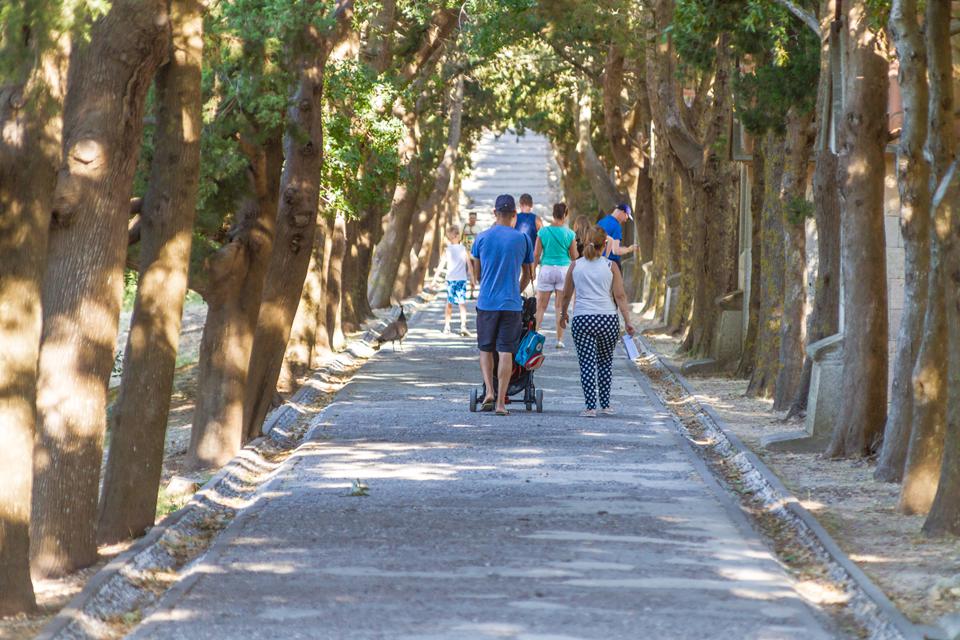 Rhodos Foto: 5 van 11