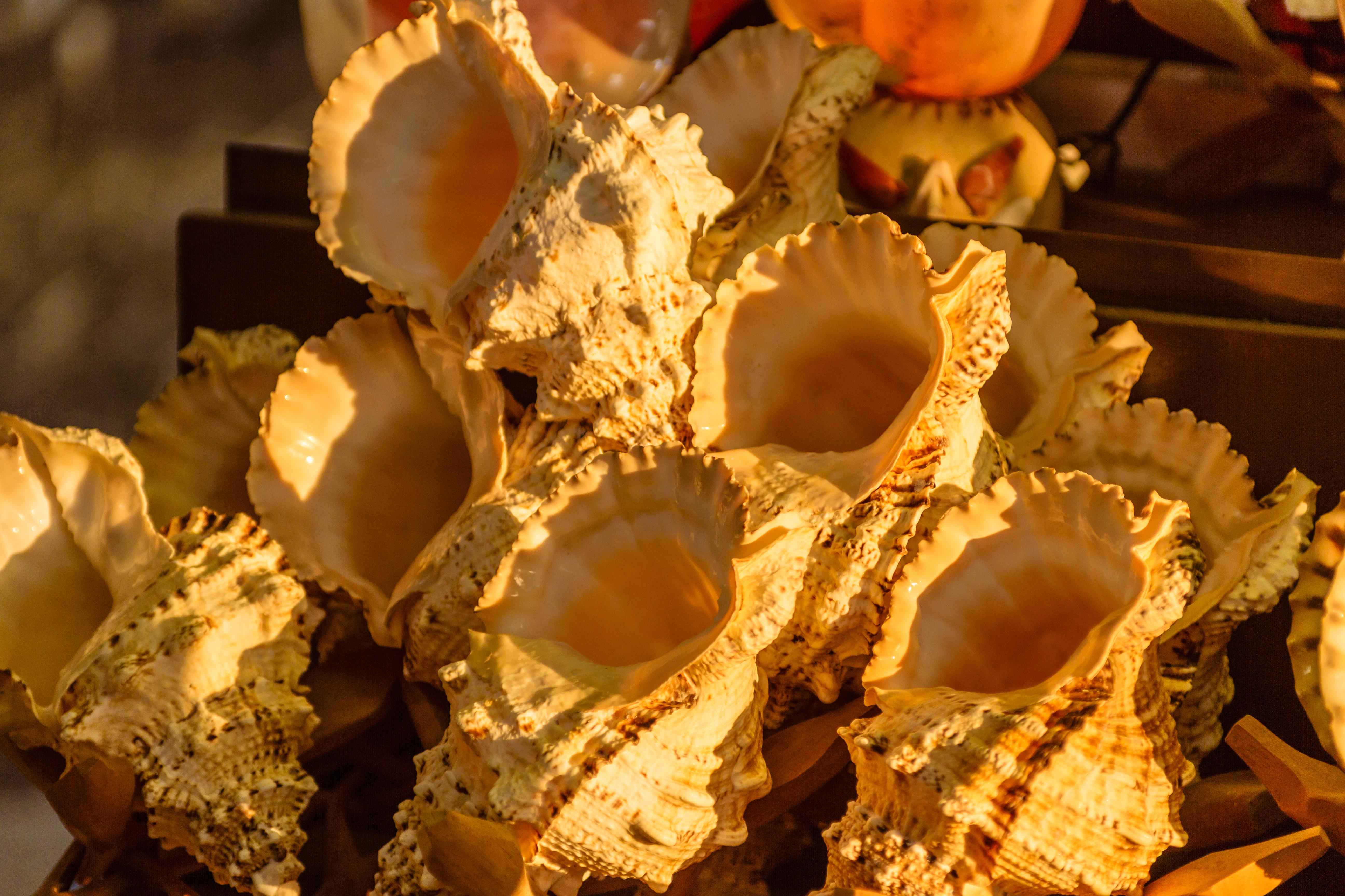 Rhodos-Stad Foto: 13 van 19