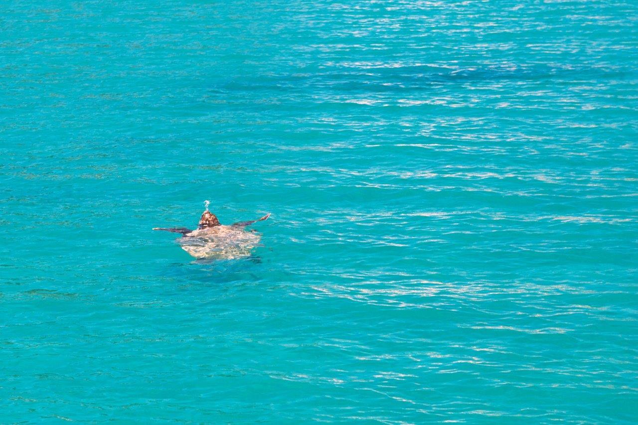 Zakynthos Foto: 4 van 18