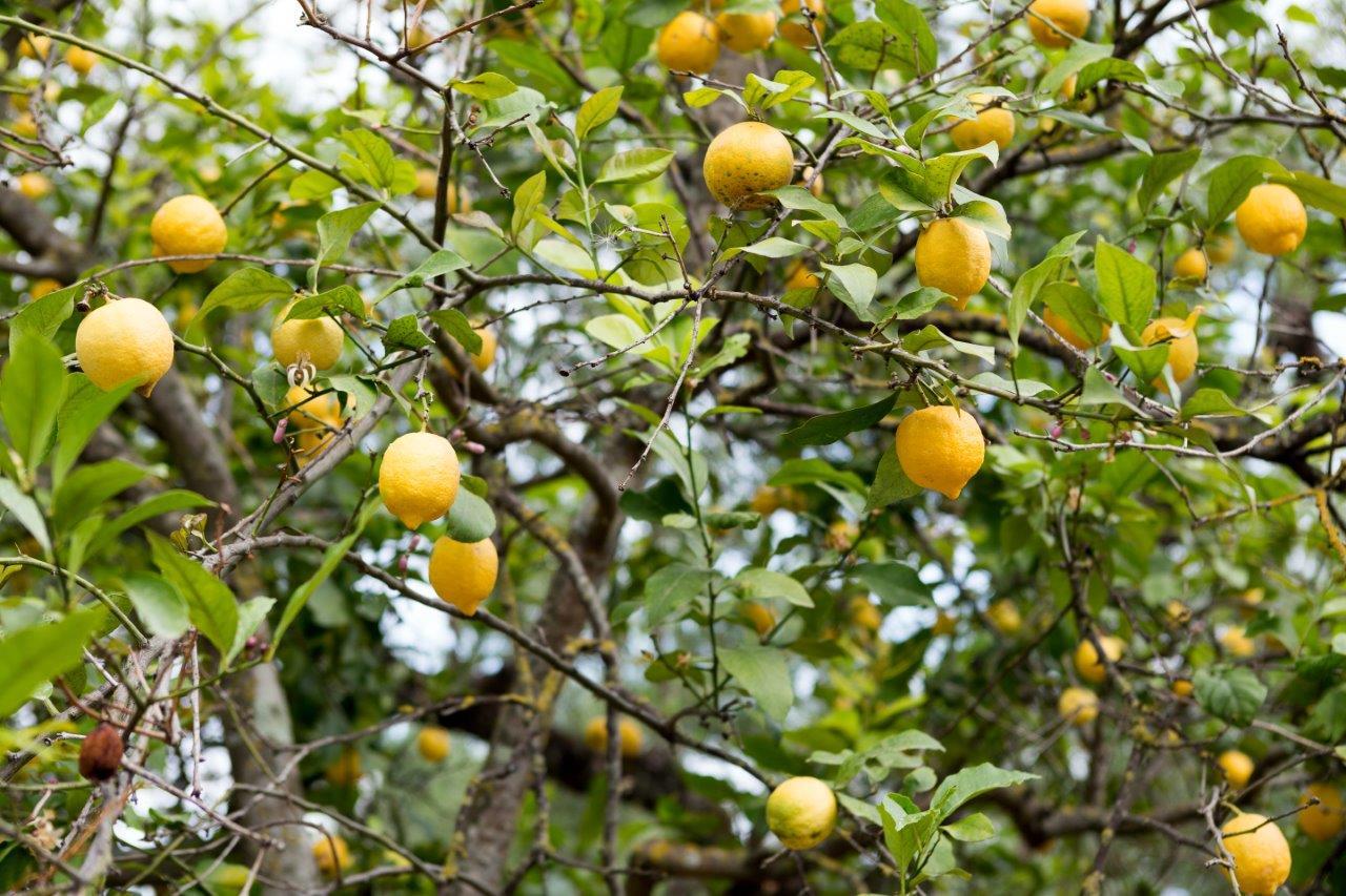 Zakynthos Foto: 12 van 18