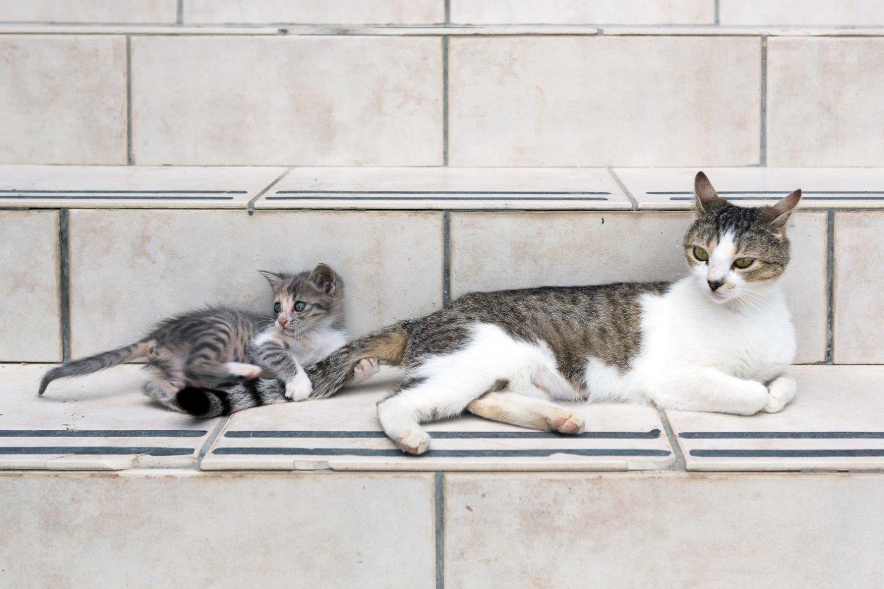 Zakynthos Foto: 13 van 18