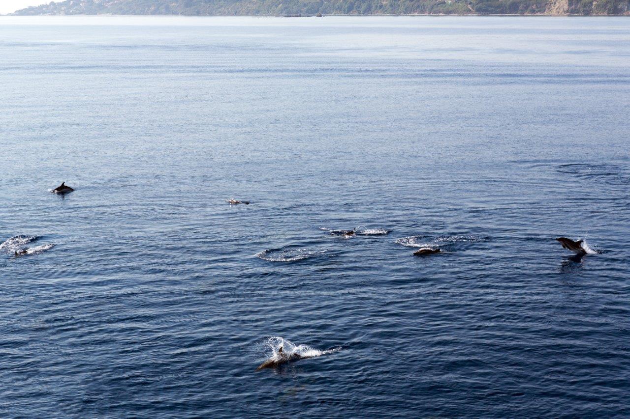 Zakynthos Foto: 14 van 18