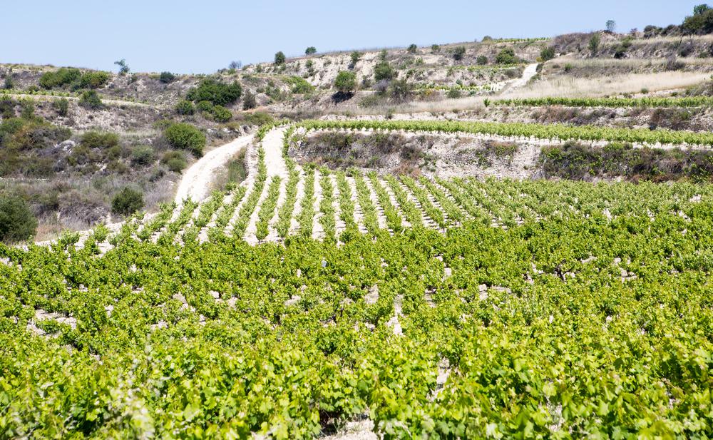 Cyprus Foto: 12 van 18