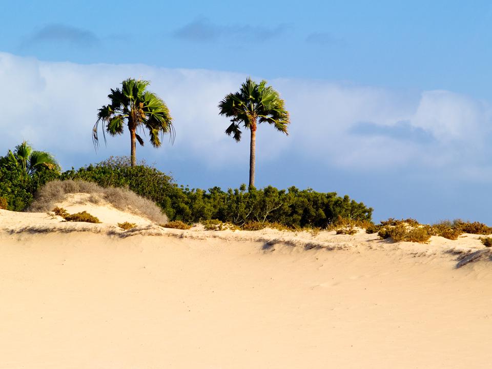 Corralejo Foto: 6 van 8