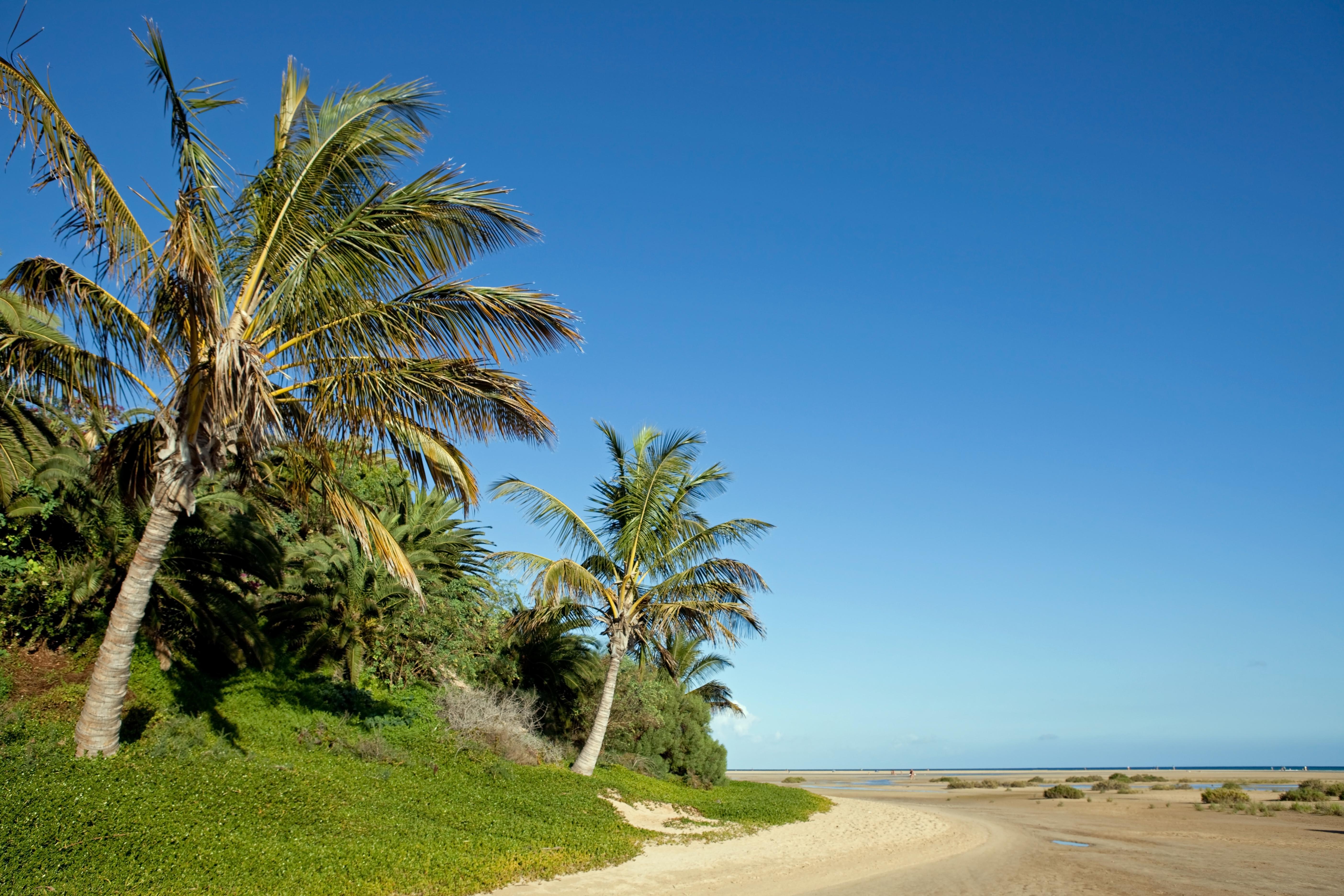 Jandía Playa Foto: 2 van 6