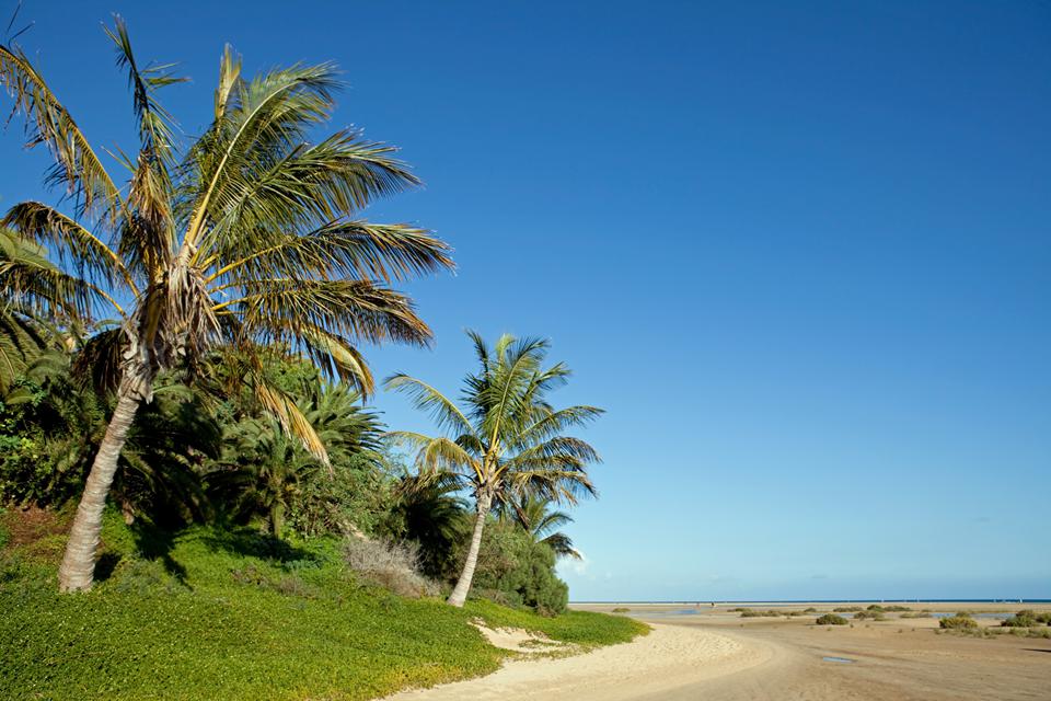 Jandía Playa Foto: 2 van 6