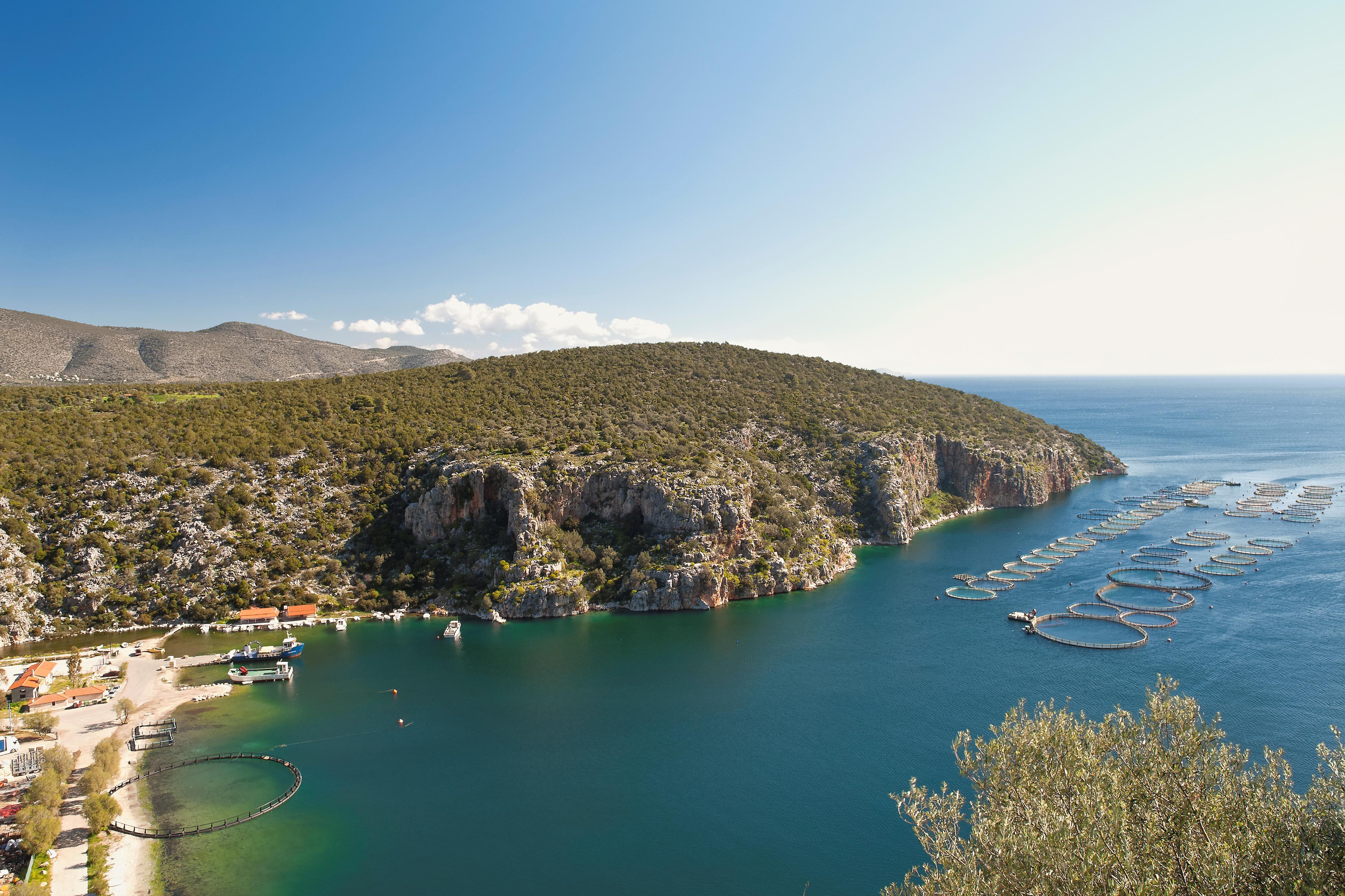 Thermissia Foto: 2 van 3