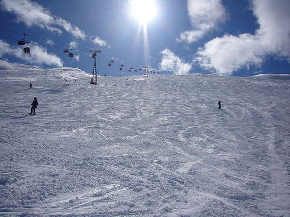 Temù Foto: 1 van 1