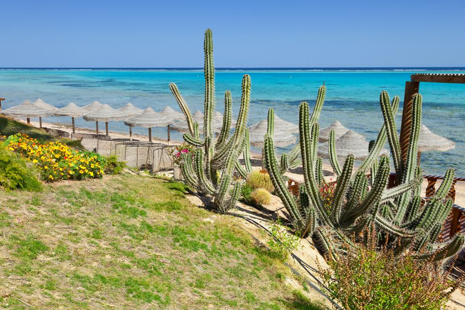 Marsa Alam Foto: 14 van 14