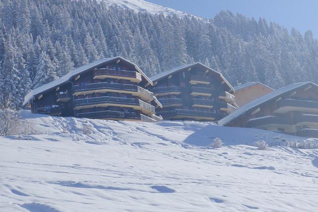 Sneeuwzeker Les Portes du Soleil € 464,- | skipas inbegrepen